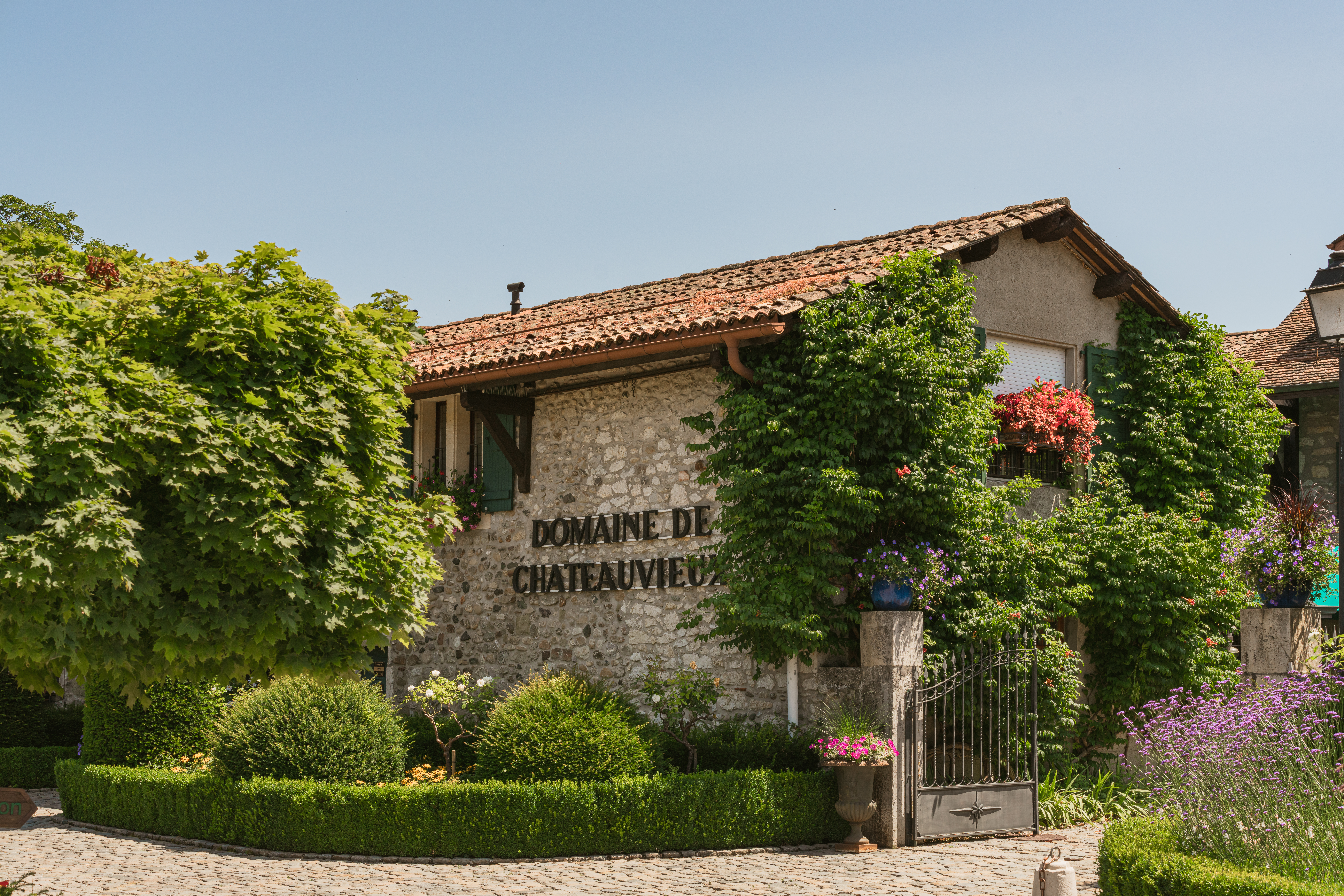domaine-de-chateauvieux-guillaume-cottancin-2024-2